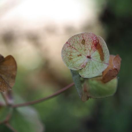 Dans la cours des grands ?