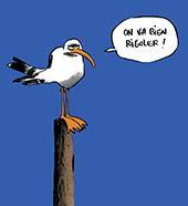 Quai des bulles 2015