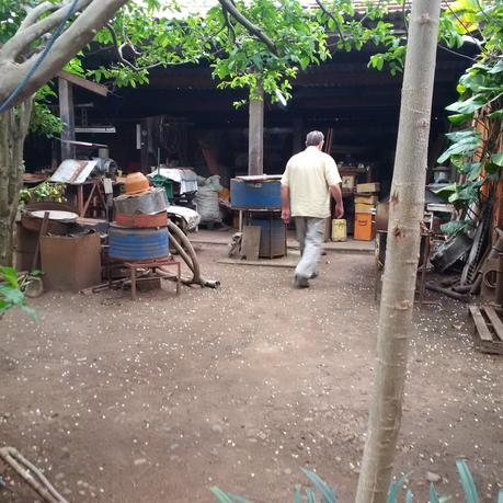 un jardin extraordinaire