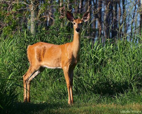 6 raisons d’aller passer ses vacances d’hiver sur l’île Maurice