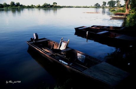 6 raisons d’aller passer ses vacances d’hiver sur l’île Maurice