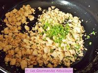 Bolognaise végétarienne aux Cyclanthères (Vegan)