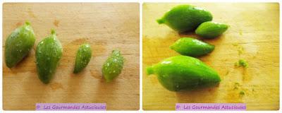 Bolognaise végétarienne aux Cyclanthères (Vegan)