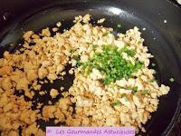 Bolognaise végétarienne aux Cyclanthères (Vegan)