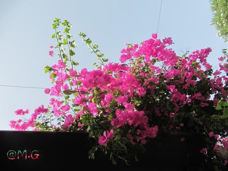 quelques rue et ruelles pleines de charme