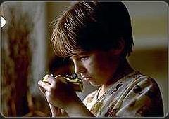 Ninja Pinata Millénaire