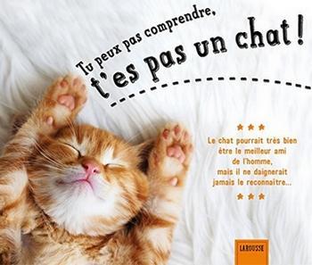 Tu peux pas comprendre, t’es pas un chat !