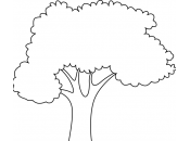 dessin arbre