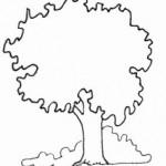 dessin de arbre