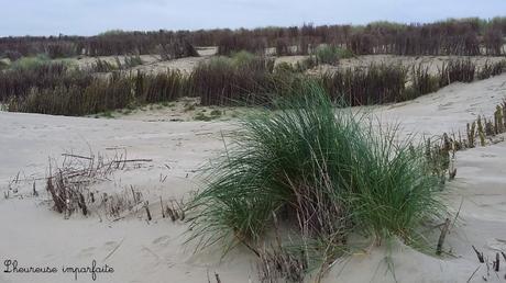 Balade au bord de la mer du Nord