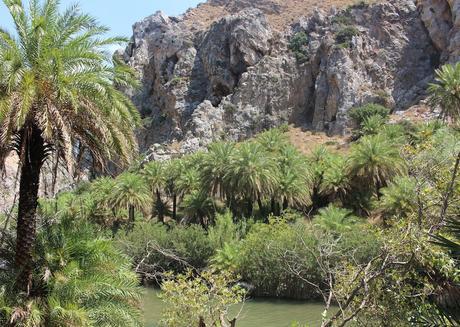 Envie #122 : en mode voyage / Un petit air tropical à Palm Beach & Palm Forest/ Crète palm beach palm forest preveli crete