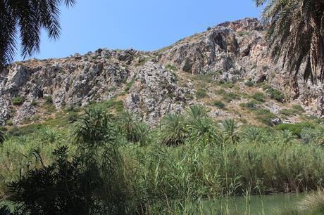 Envie #122 : en mode voyage / Un petit air tropical à Palm Beach & Palm Forest/ Crète palm beach palm forest preveli crete