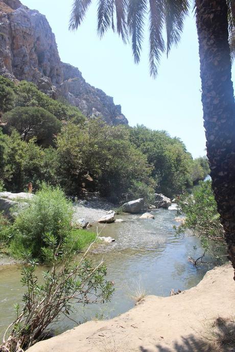 Envie #122 : en mode voyage / Un petit air tropical à Palm Beach & Palm Forest/ Crète palm beach palm forest preveli crete