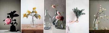 5 fleurs et branches pour la saison froide | elephant in the room