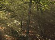 [Podcast #31] Bien comprendre concours photos avec Walter Barthélémi