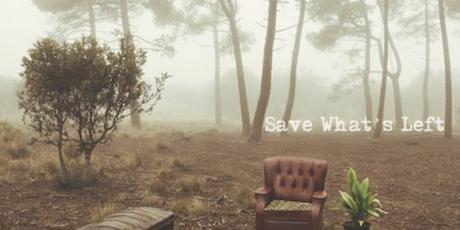 Interview – Body Mind Soul Interview – Body Mind Soul