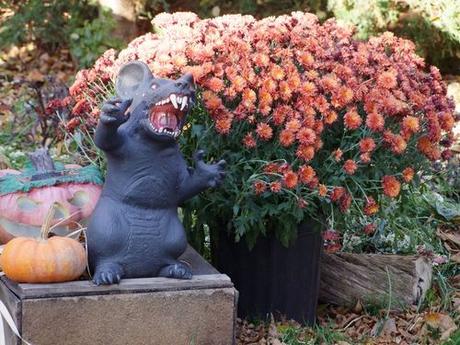 Canada - Déco Halloween