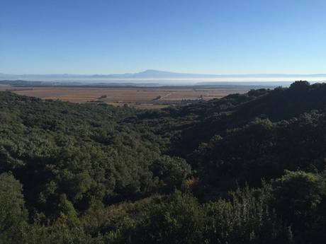 Du sang et de l'or devant le Ventoux