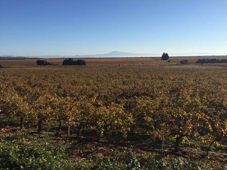 Du sang et de l'or devant le Ventoux