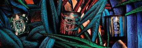 Dans les forêts imaginaires de diptyque