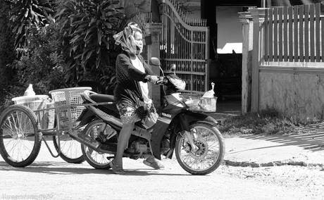 Issanerie du jour (photos d'Issan)