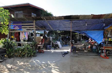 Issanerie du jour (photos d'Issan)