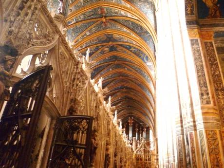 tarn,albi,tourisme,culture,sud,région,cathédrale