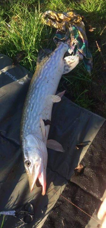 Une journée de pęche en étang privé