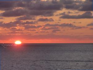 Rond de Sorciere 62 18