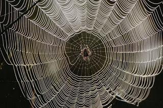 AU CŒUR D’UNE IMMENSE TOILE