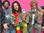 Gladiators Connexion, 4/11.