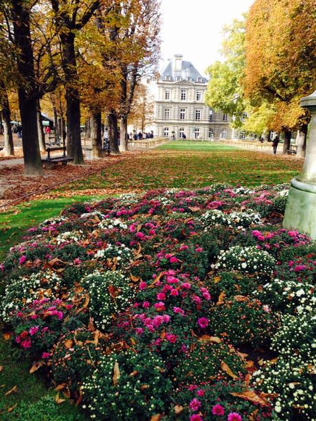 Le jardin du Luxembourg en fleurs 