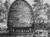 (édition) Naissance d'une nouvelle maison d'édition, Coopérative