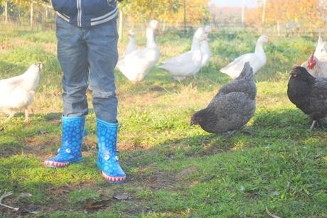 Quand J'serais Grand...