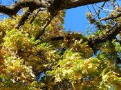 Doux retour vers capitale