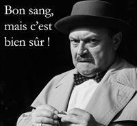 souplex bon sang mais c'est bien sûr