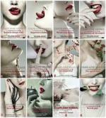 la communauté du sud