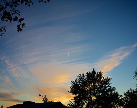 Petit coin du ciel Petit coin du ciel