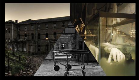 lesCobayesDeShutterIsland-2