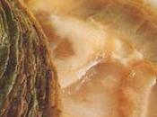 Belons spaghetti frais