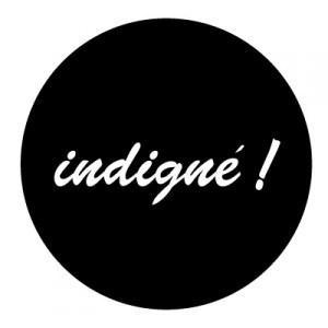 LA LIBERTE D’EXPRESSION : MYTHE OU RÉALITÉ ? indigne