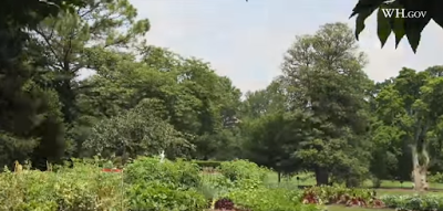 Le jardin de Michelle Obama