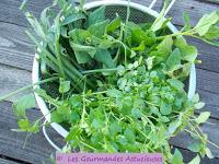 Riz accompagné de ses 3 poêlées de légumes (mourron, tétragone, plantain, cardamine, champignons) (Vegan)