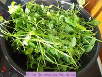 Riz accompagné de ses 3 poêlées de légumes (mourron, tétragone, plantain, cardamine, champignons) (Vegan)