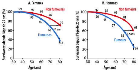 La cigarette: jackpot ou fardeau pour notre société?