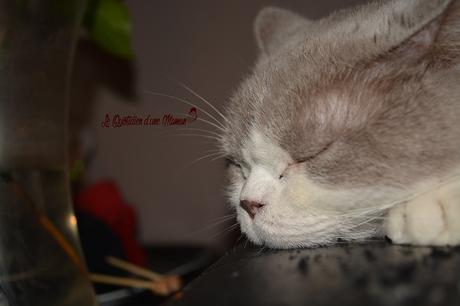 {Les 3 ans de Nathan} Sa fête d’anniversaire DSC_0811