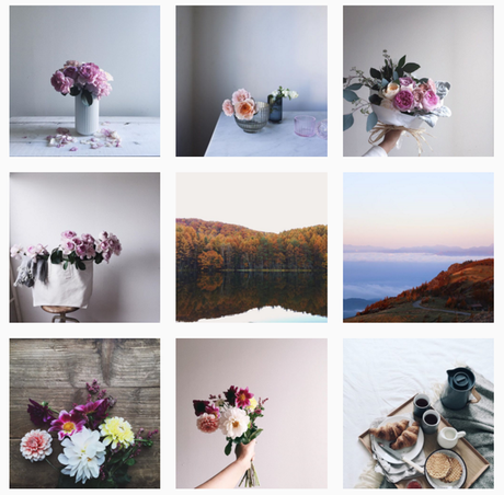 10 comptes Instagram à suivre !  / My 10 favorite Instagram accounts !