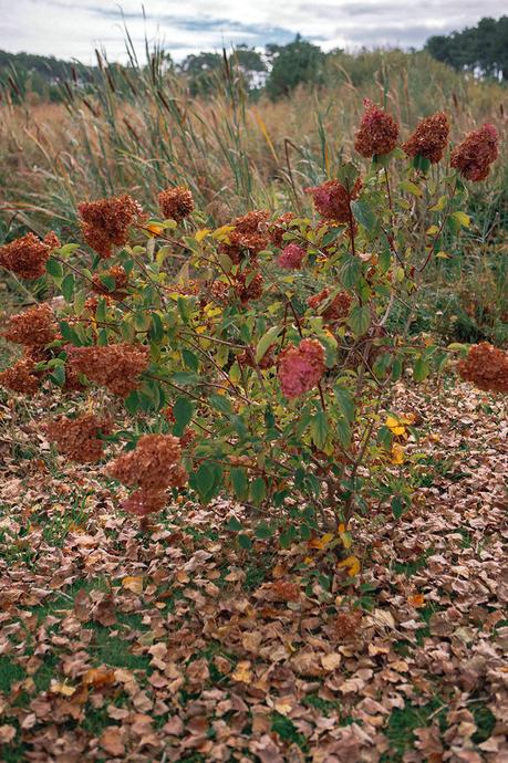 Fall Outfit l Etang blanc seignosse4