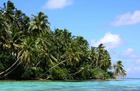 Les Maldives, royaume des îles