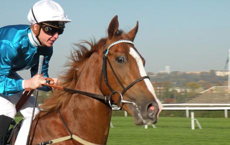 Saint-Cloud 01.11.2015